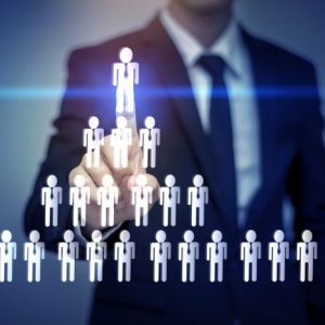 CHRO – Giám đốc Nhân sự chuyên nghiệp