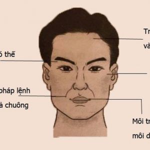 Nhân tướng học trong quản trị nhân sự